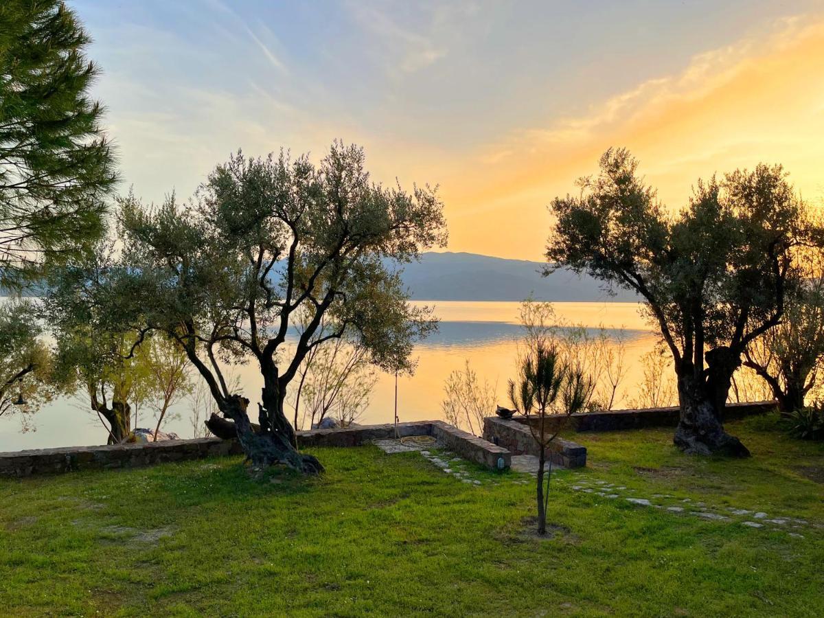 Holiday home Traditional Stone House In Seafront Olive Grove A Alyfanta