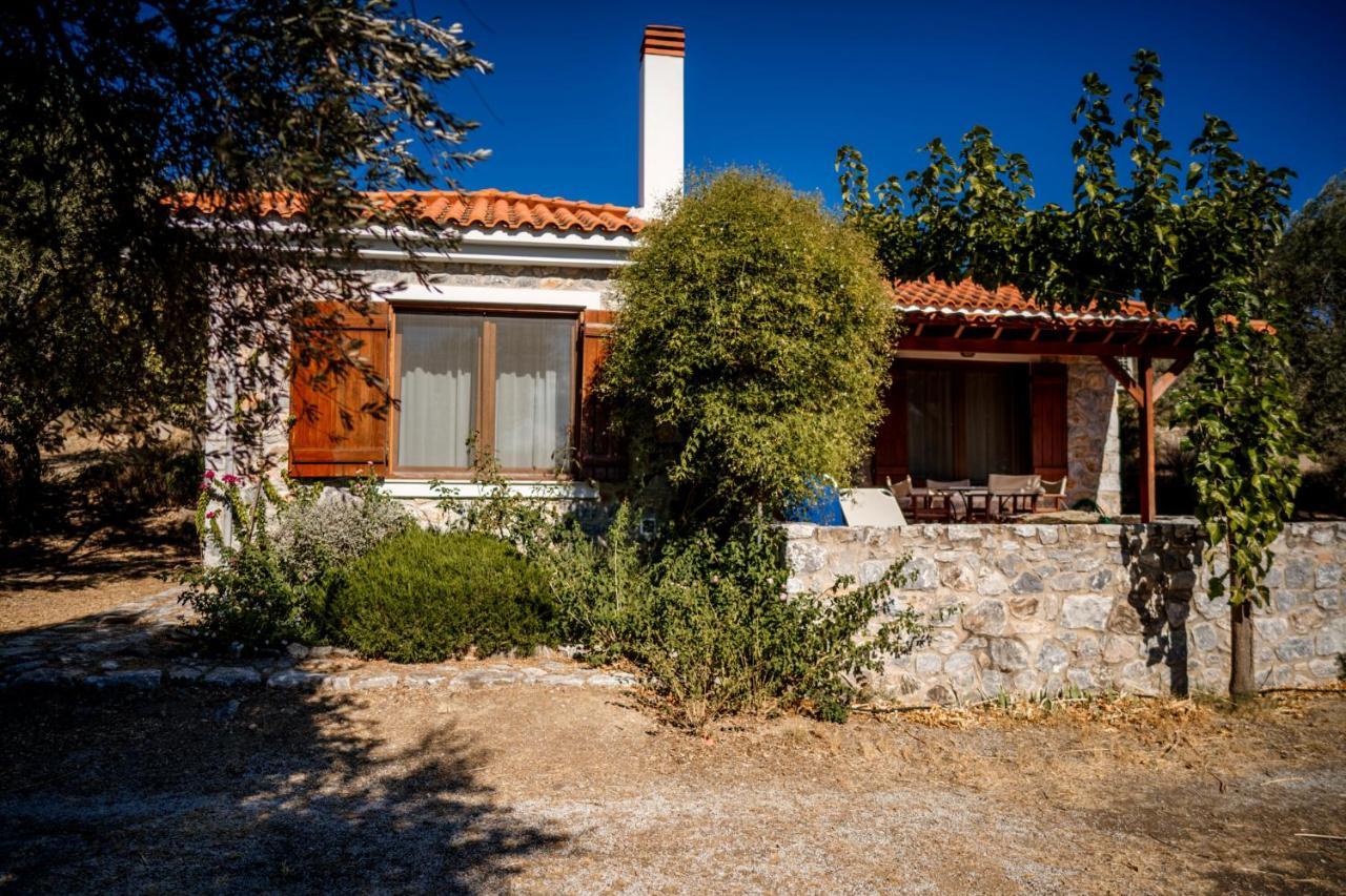 Holiday home Traditional Stone House In Seafront Olive Grove A *