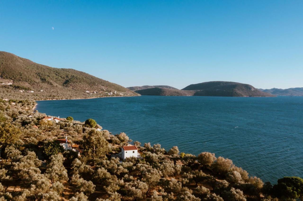 Traditional Stone House In Seafront Olive Grove A *