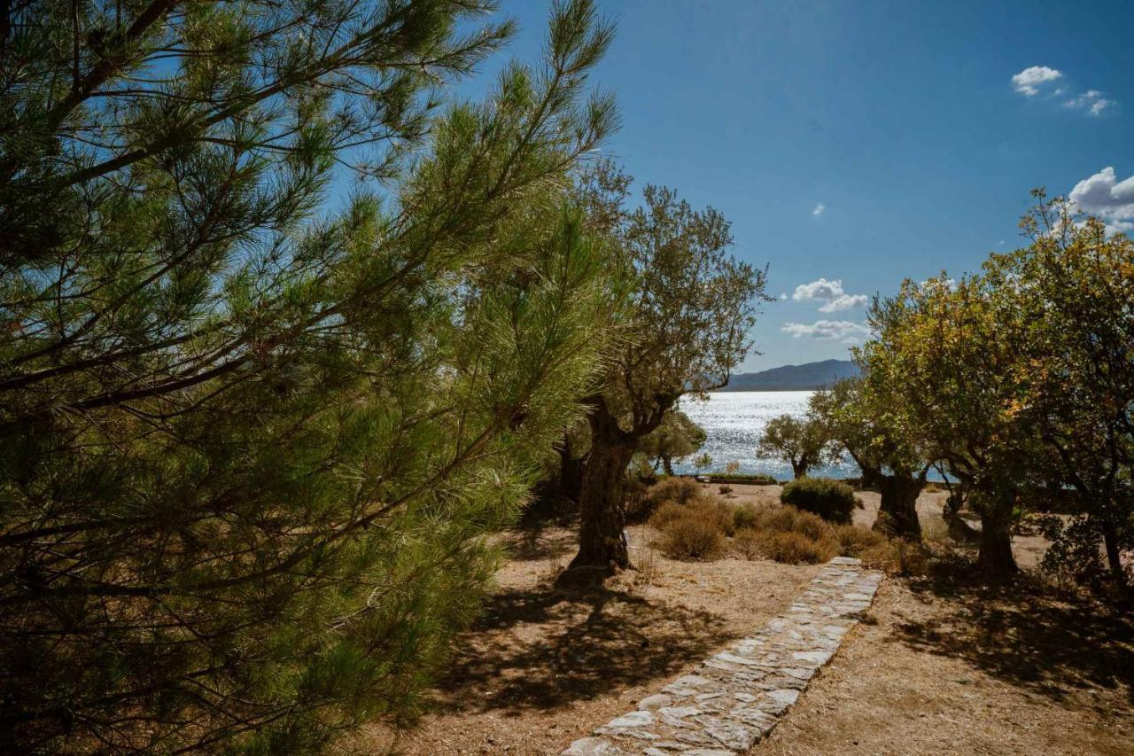 Traditional Stone House In Seafront Olive Grove A