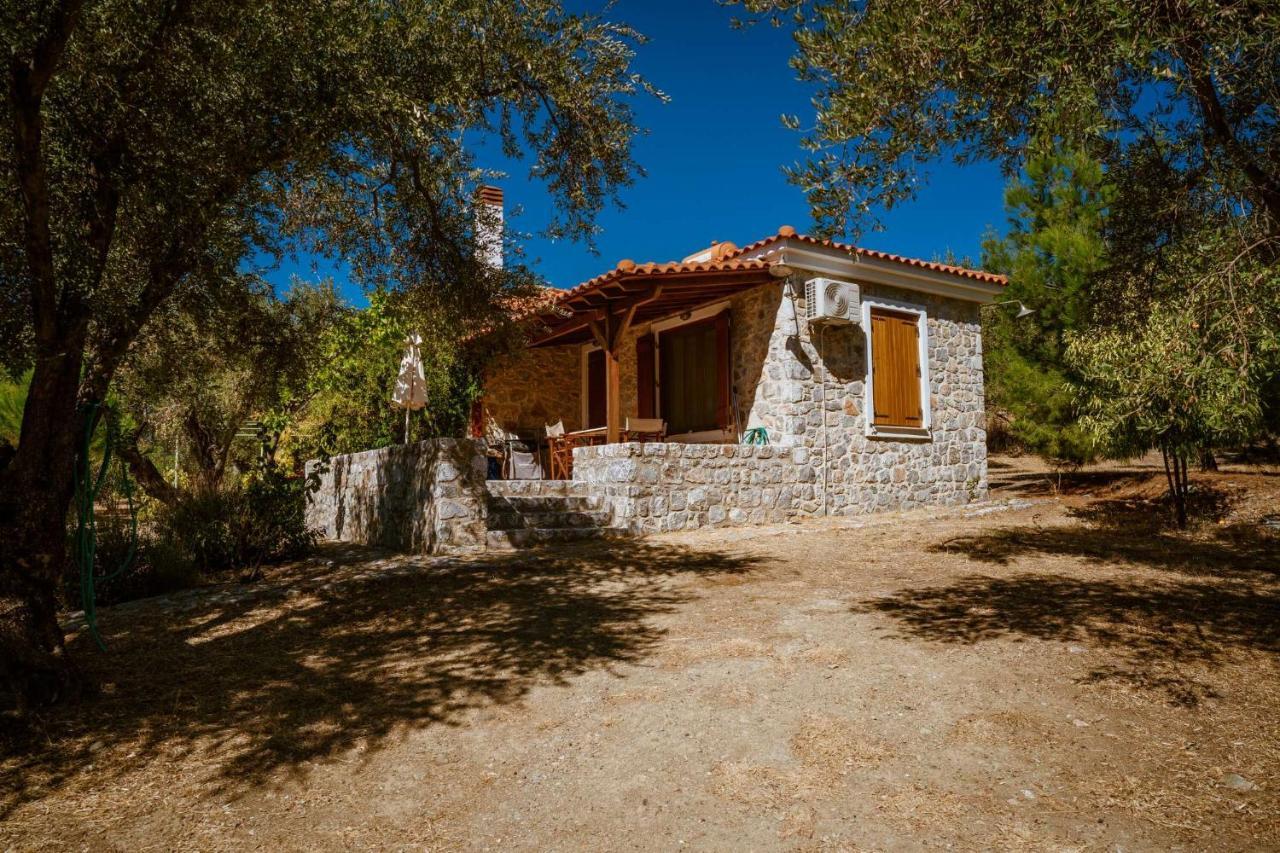 Traditional Stone House In Seafront Olive Grove A Holiday home *